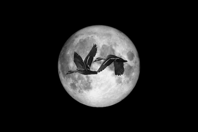 Moonlit ceremonies